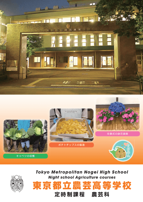  パンフレット画像　パンフレットPDFへのリンク